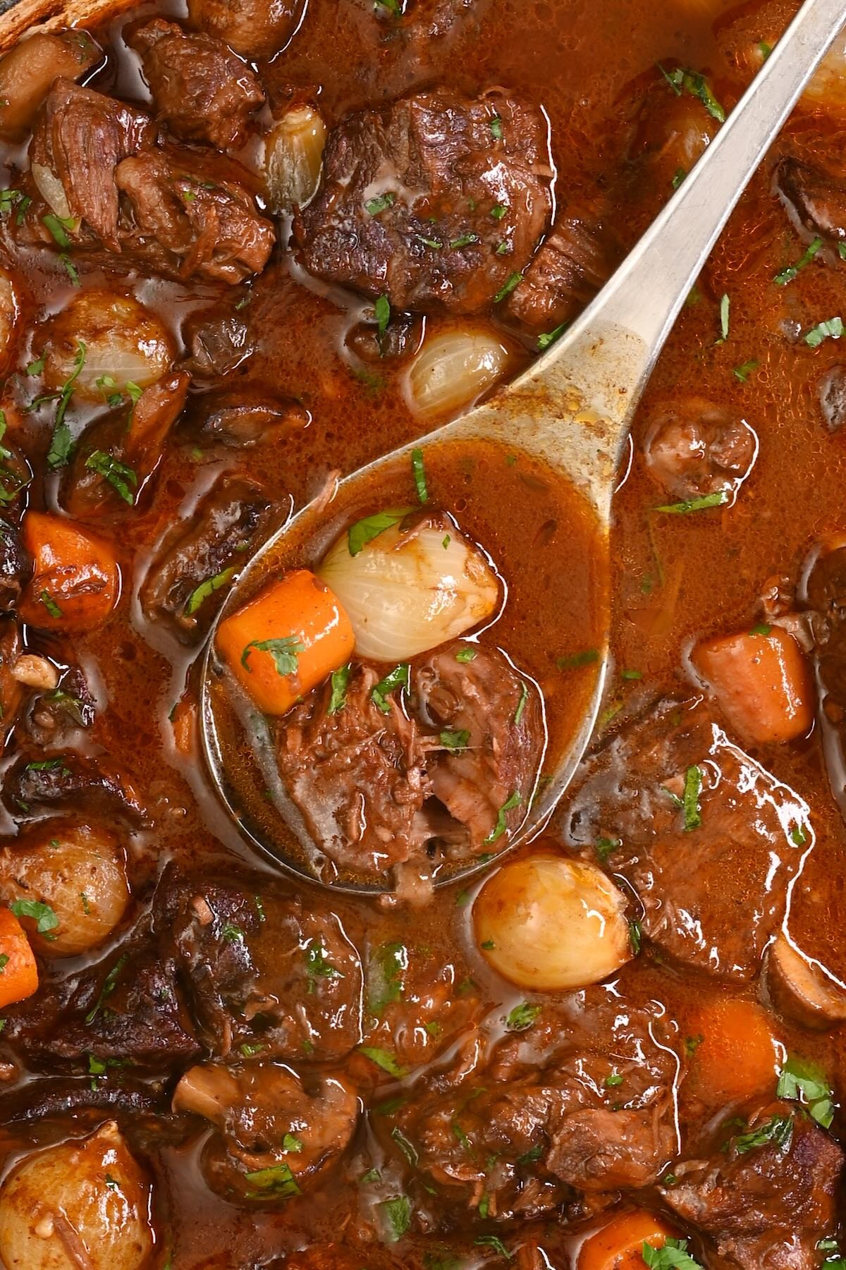 Beef Bourguignon